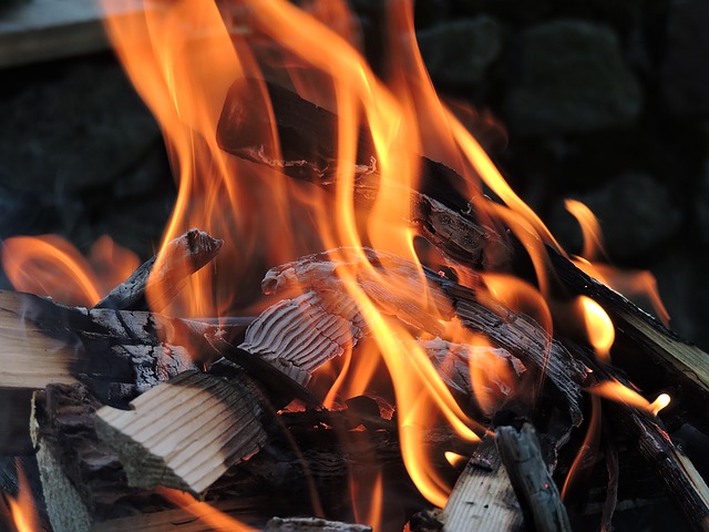 Need advice on how to choose the best grill for your family?