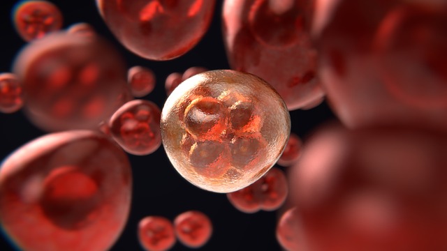 Is cancer preventable?